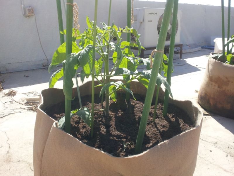 Brandywine Sudduth December 30th 2012 photo a29db70e-d1e4-4c6f-9e5e-edb0ab76e434.jpg